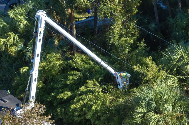 Emergency Tree Trimming