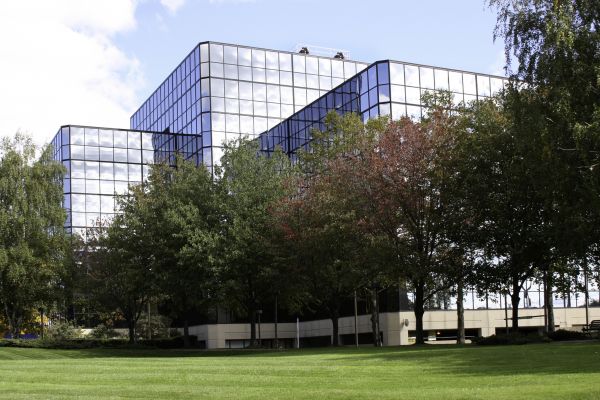 Commercial Tree Trimming in Cedar Park